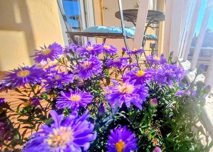 Apartamento Ida's House A Citta Giardino *